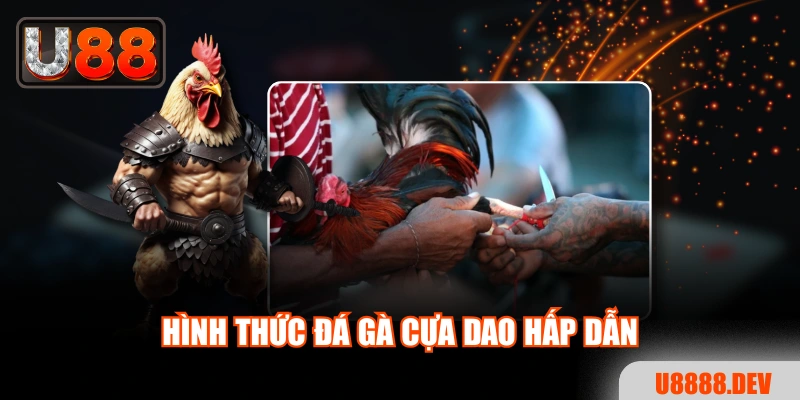Hình thức đá gà cựa dao hấp dẫn