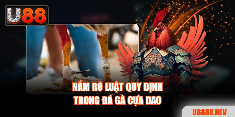 Nắm rõ luật quy định trong đá gà cựa dao